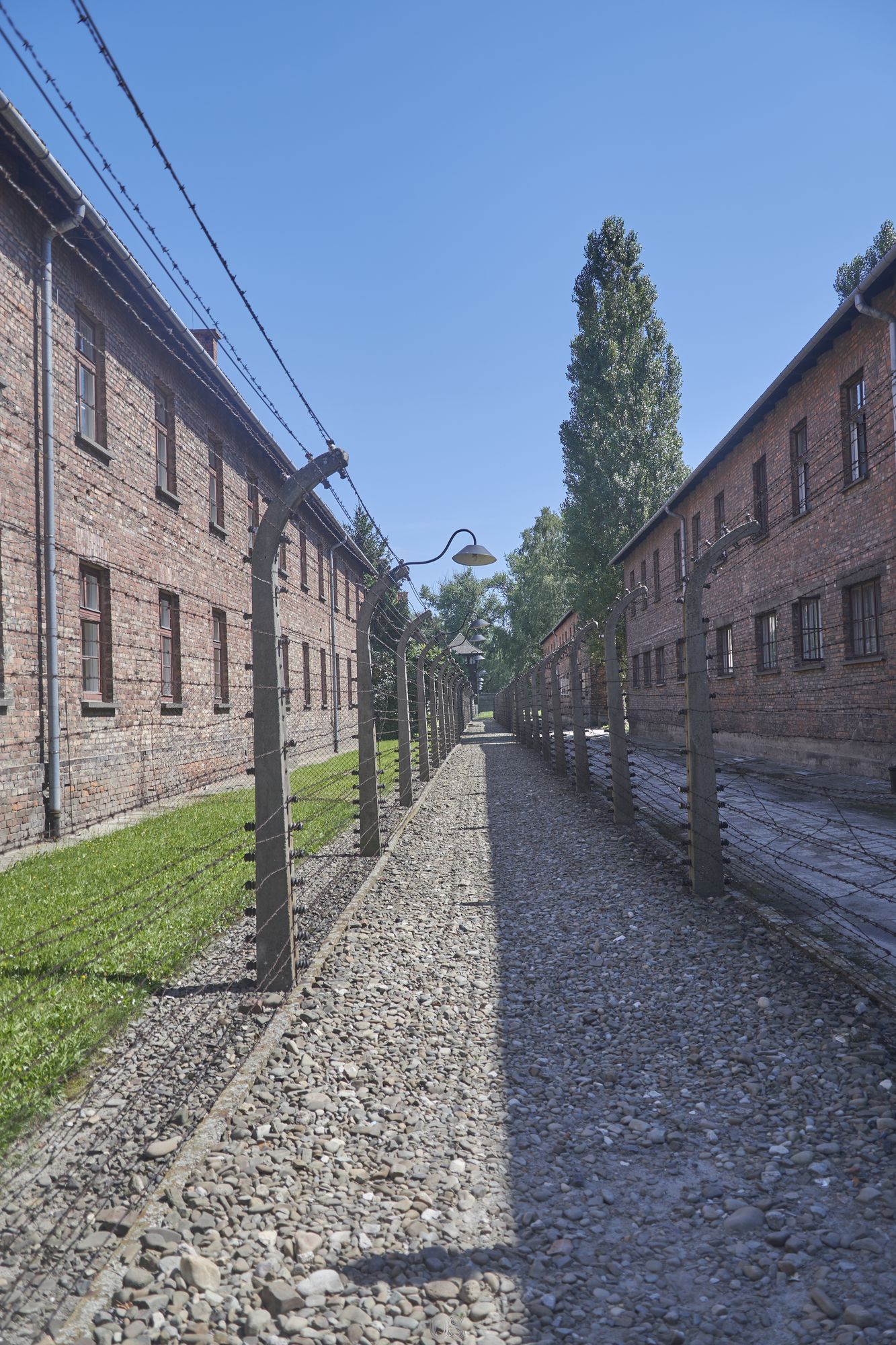 Auschwitz 71.jpg